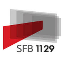 SFB1129